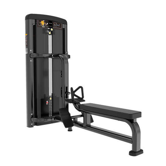 PRESTIGE SERIES - PRS-10 Low Row