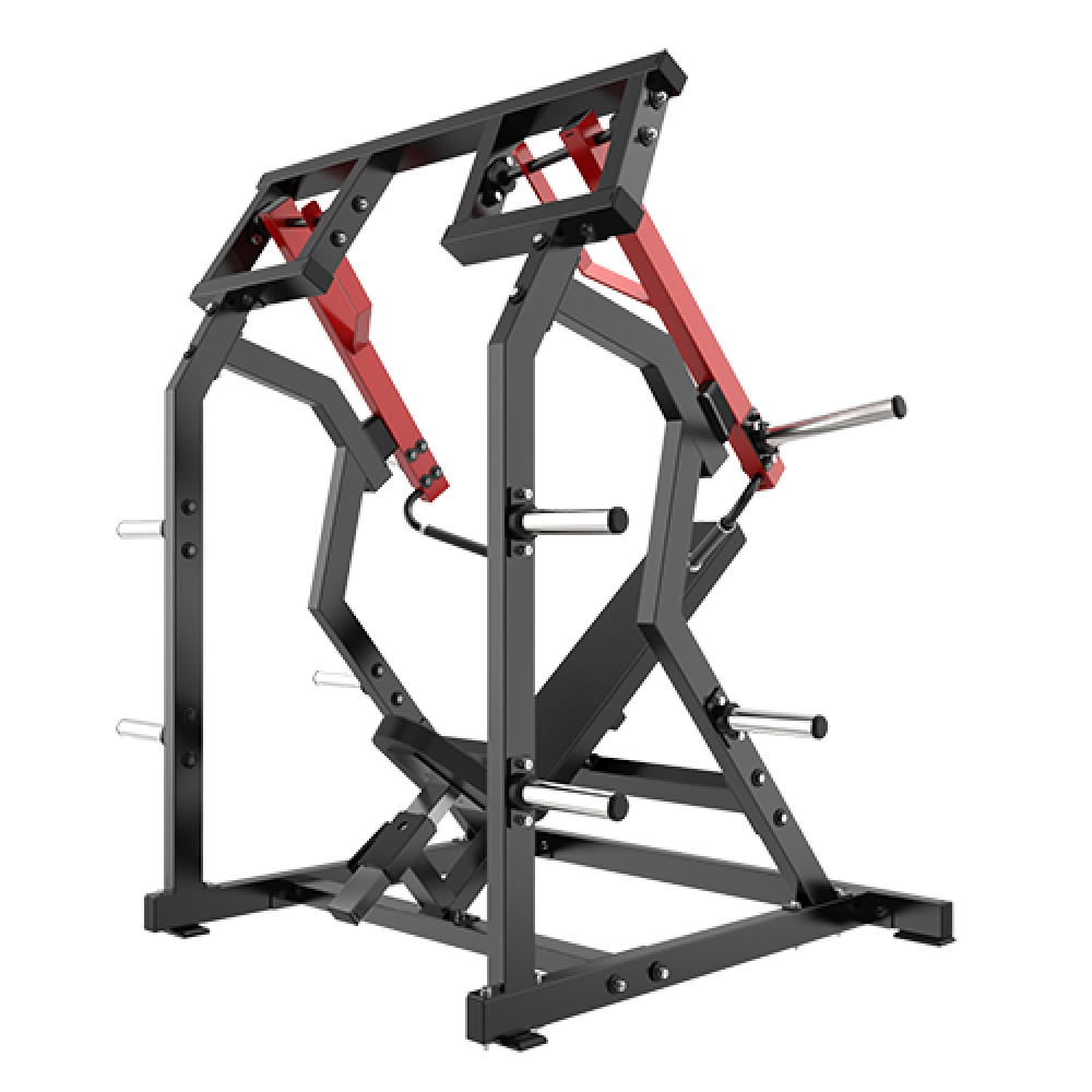 Shoulder Press ISO 12