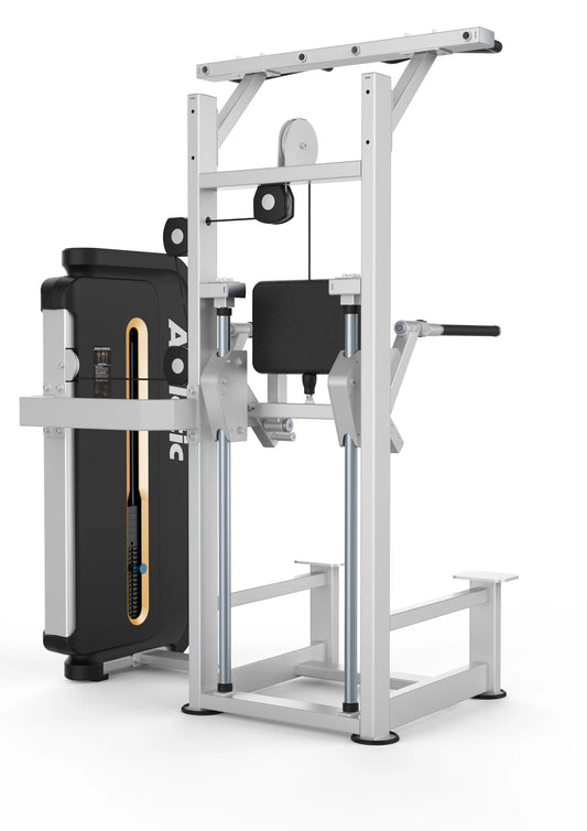 Dip and Chin Assist Machine